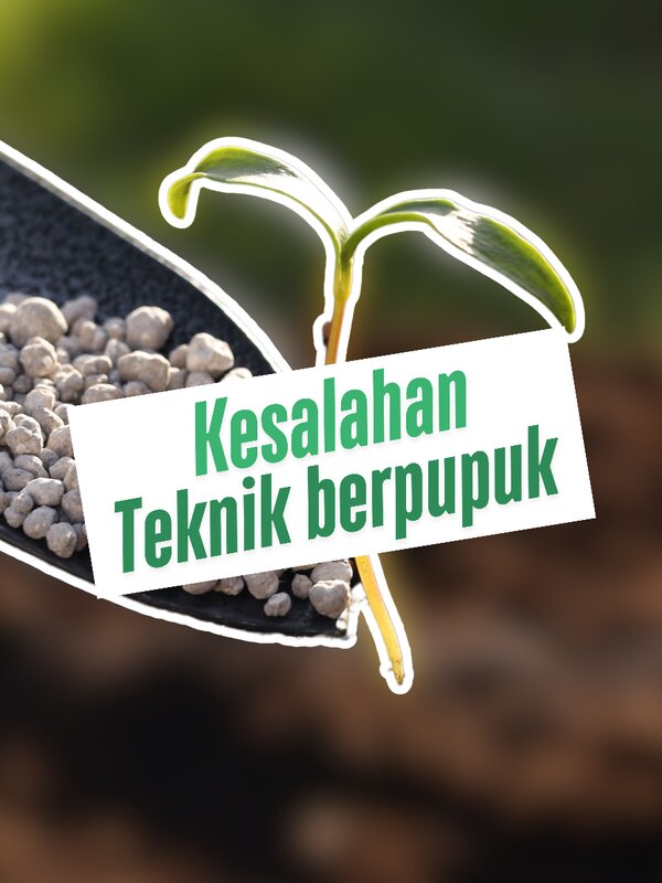 cara-mencegah-penyakit.jpg